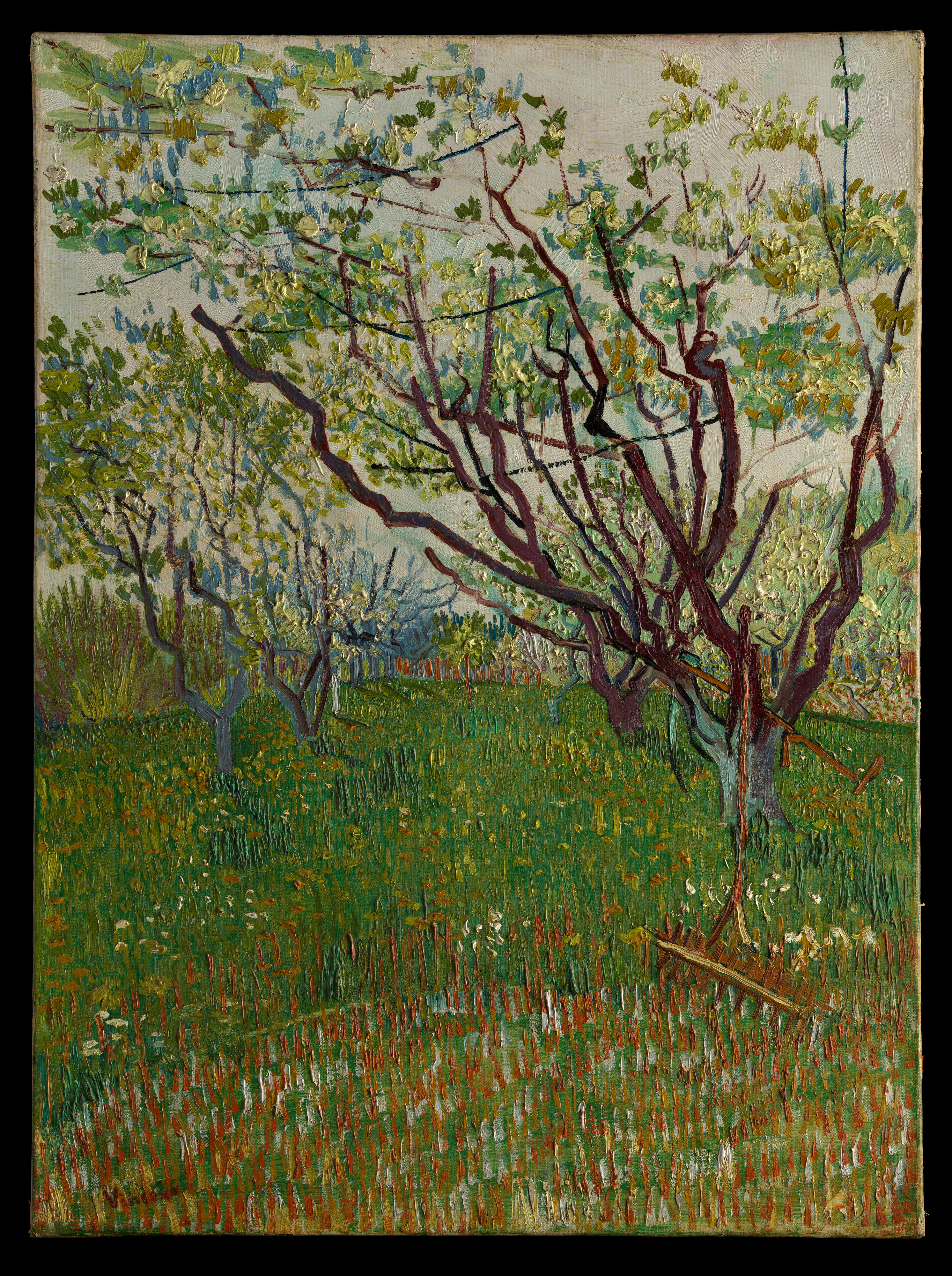 アルルの陽光に咲く果樹 — 花咲く果樹園（Flowering Orchard）。メトロポリタン美術館所蔵のPD画像。