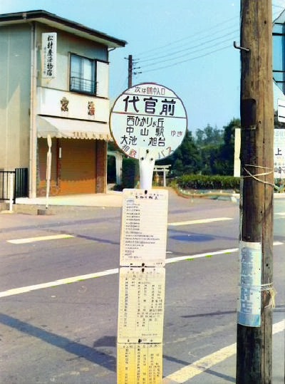 同じ写真を工房と同じ DDColor でカラー化した状態（人手補正前）