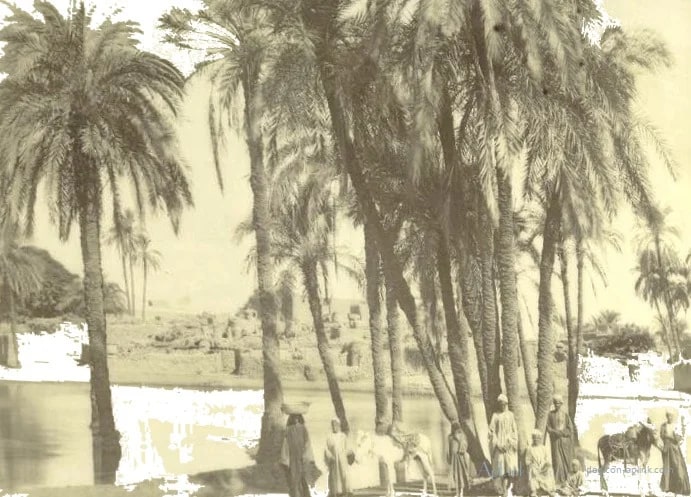 Village de Karnak — カイロ／エジプトの古写真