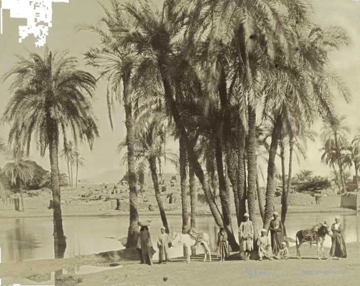 Village de Karnak — カイロ／エジプトの古写真