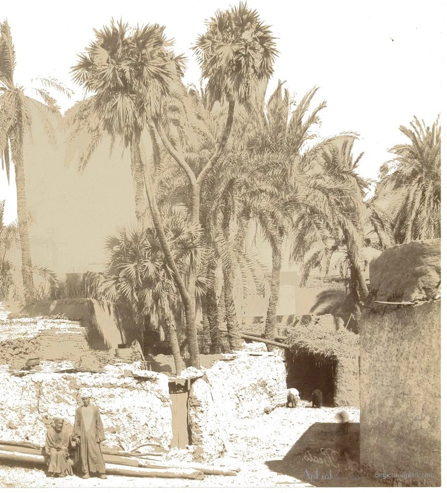 Dorpsgezicht bij Luxor met palmen — カイロ／エジプトの古写真