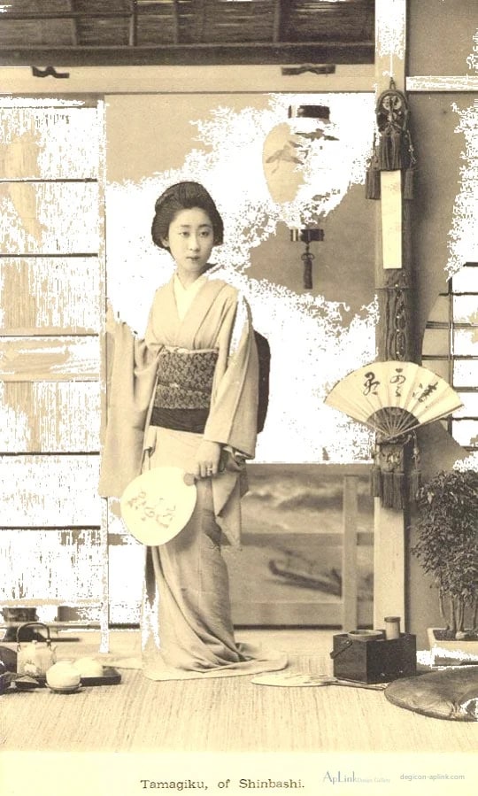 Celebrated Geysha of Tokyo — plate 03 — 日本（幕末・明治）の手彩色写真