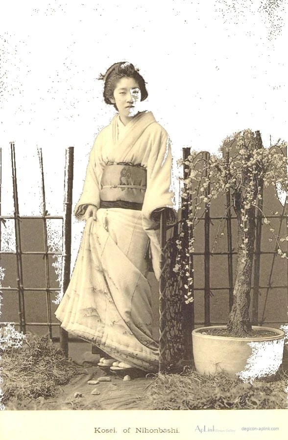 Celebrated Geysha of Tokyo — plate 06 — 日本（幕末・明治）の手彩色写真