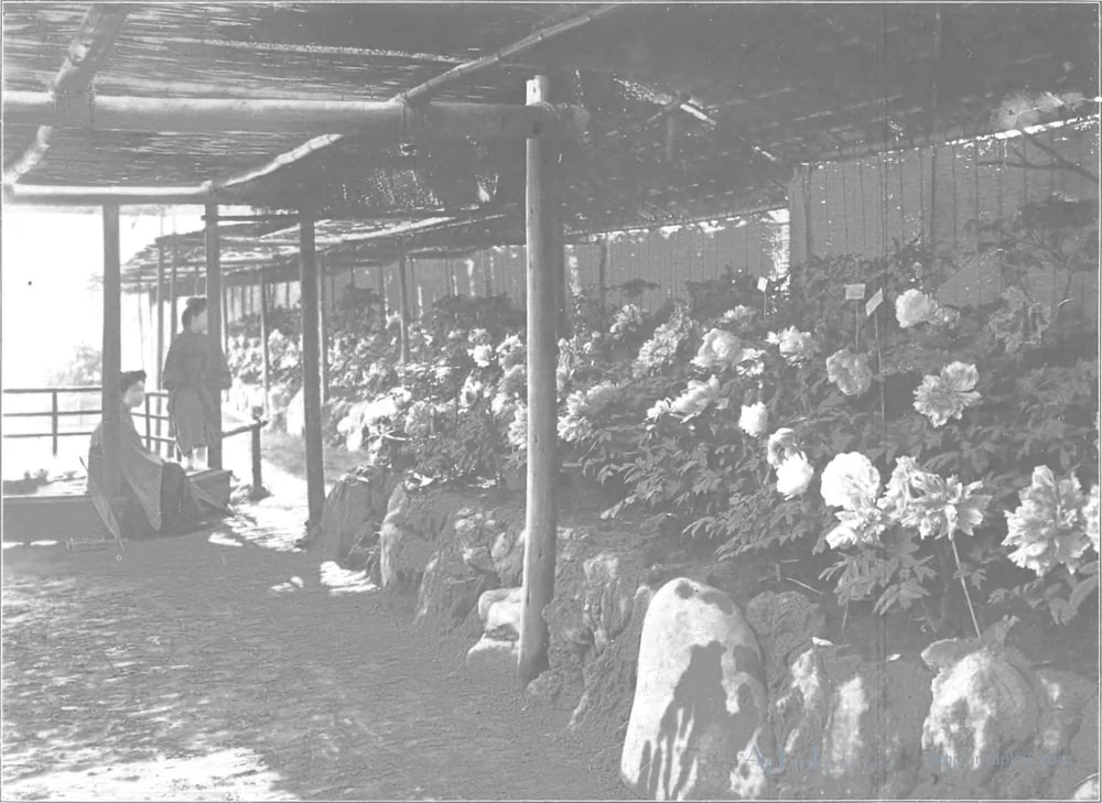 Scenes in the Eastern Capital of Japan — plate 0023a — 日本（幕末・明治）の手彩色写真