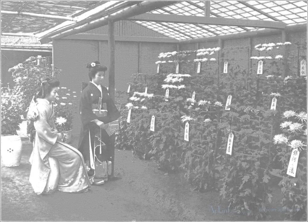 Scenes in the Eastern Capital of Japan — plate 0024b — 日本（幕末・明治）の手彩色写真