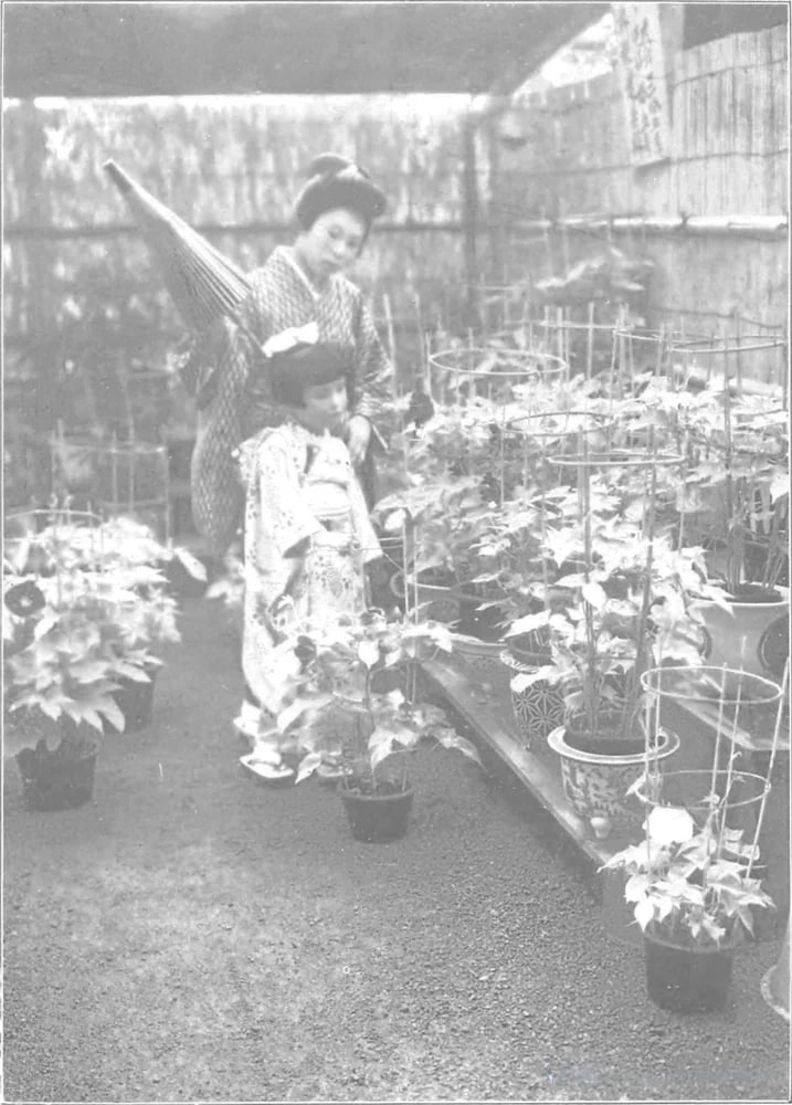 Scenes in the Eastern Capital of Japan — plate 0031b — 日本（幕末・明治）の手彩色写真