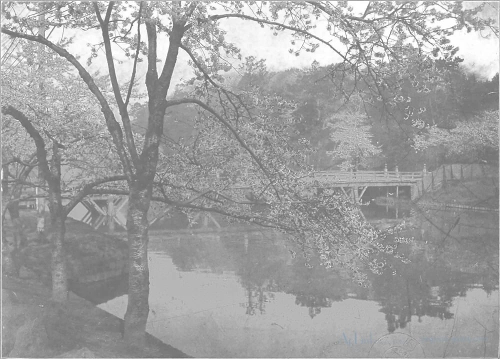 Scenes in the Eastern Capital of Japan — plate 0039a — 日本（幕末・明治）の手彩色写真