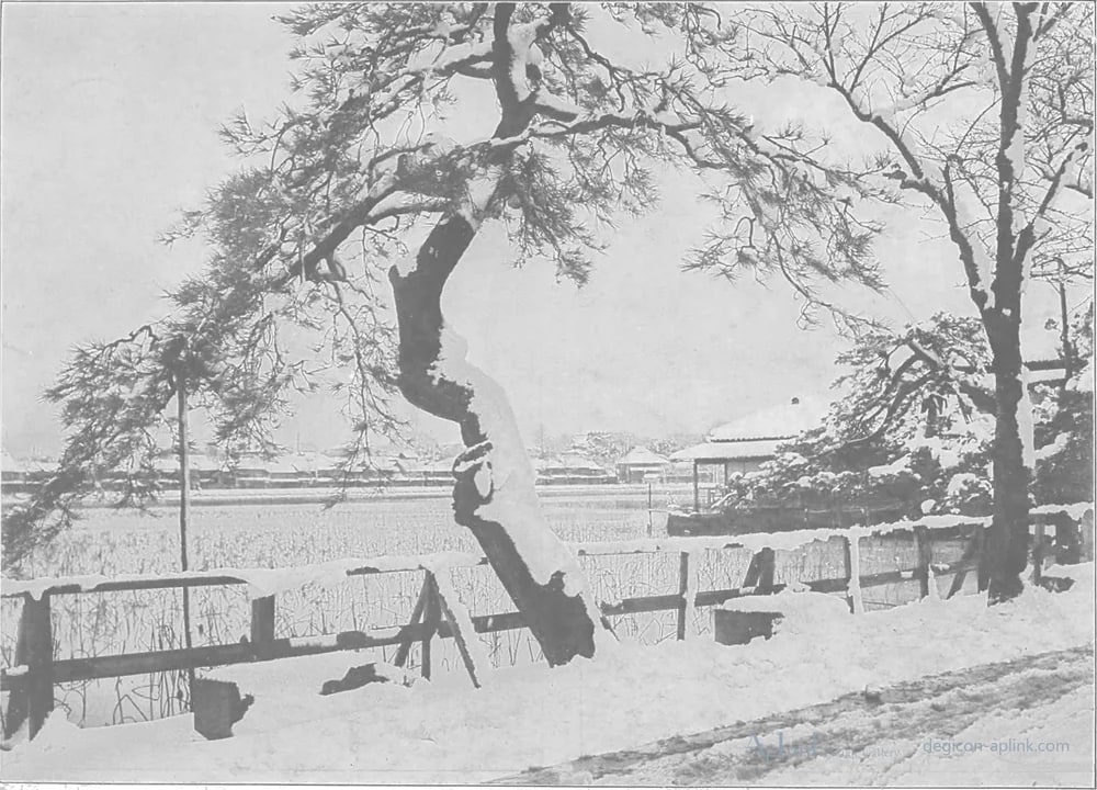 Scenes in the Eastern Capital of Japan — plate 0047a — 日本（幕末・明治）の手彩色写真