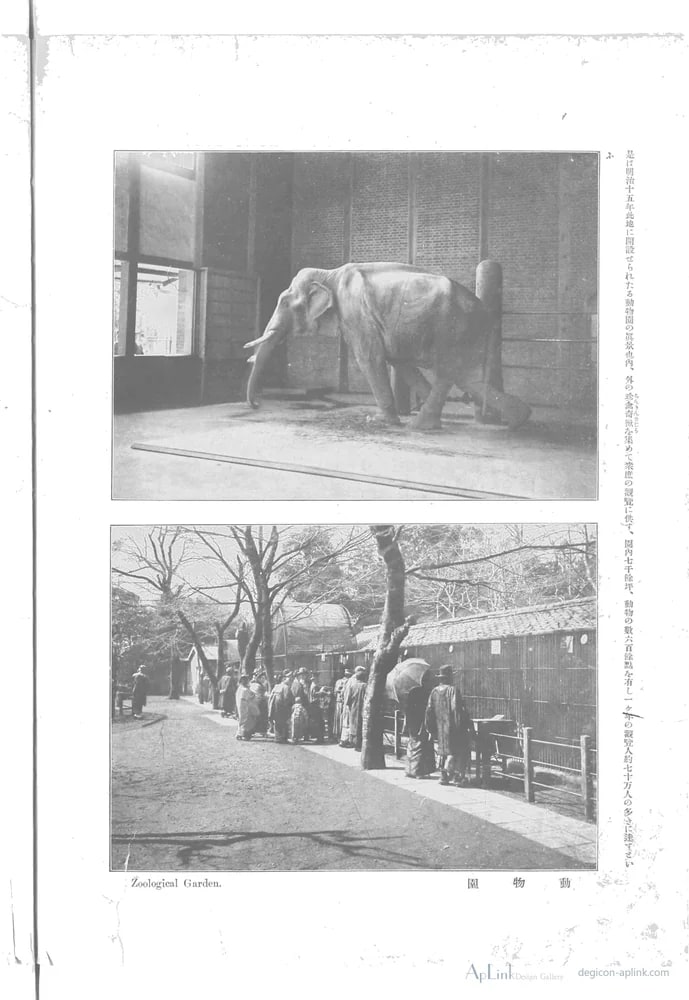 Scenes in the Eastern Capital of Japan — plate 0051b — 日本（幕末・明治）の手彩色写真
