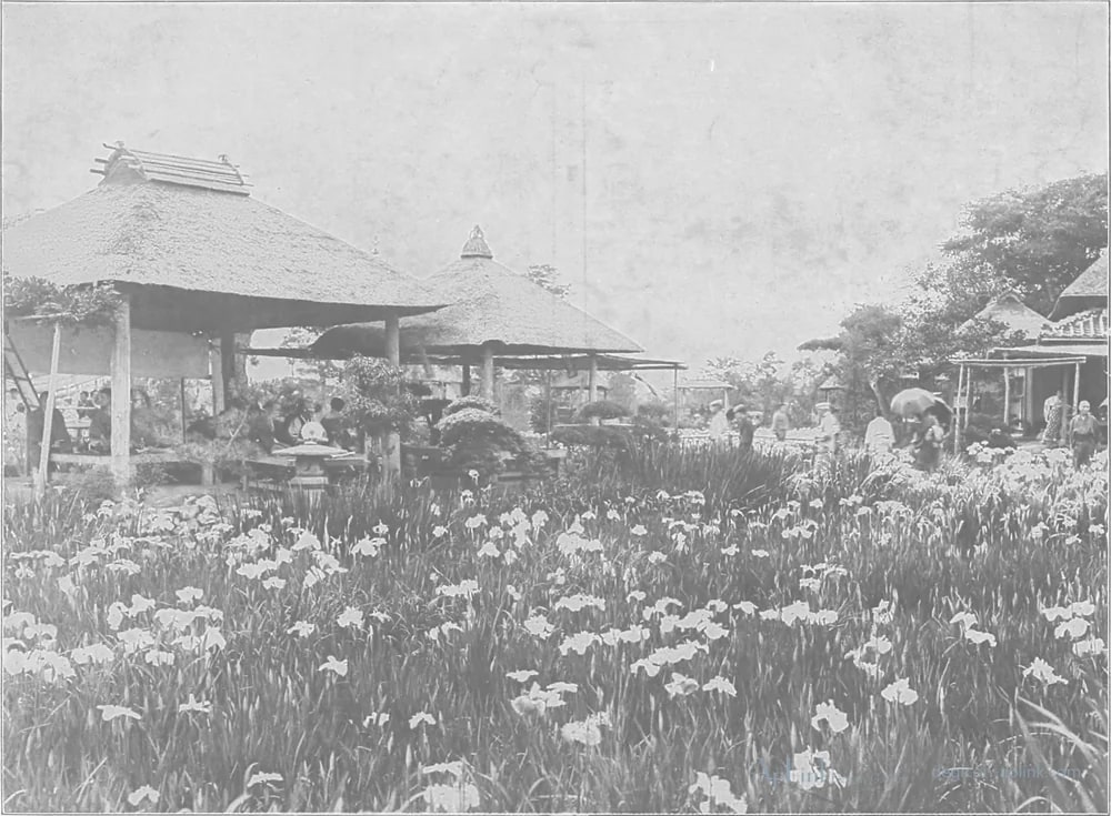 Scenes in the Eastern Capital of Japan — plate 0054a — 日本（幕末・明治）の手彩色写真