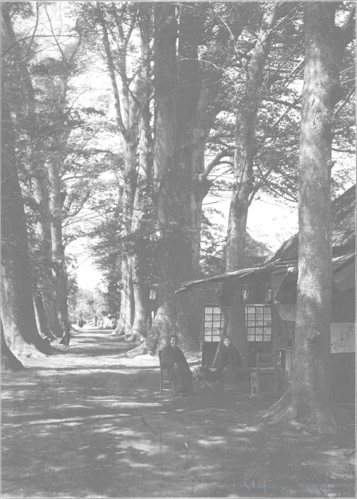 Scenes in the Eastern Capital of Japan — plate 0058a — 日本（幕末・明治）の手彩色写真