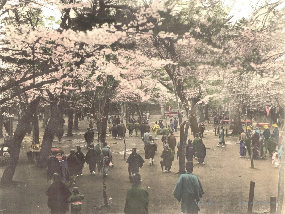 Gezicht op een laan met Japanse sierkersen in Uenopark in Tokyo, Japan — 日本（幕末・明治）の手彩色写真