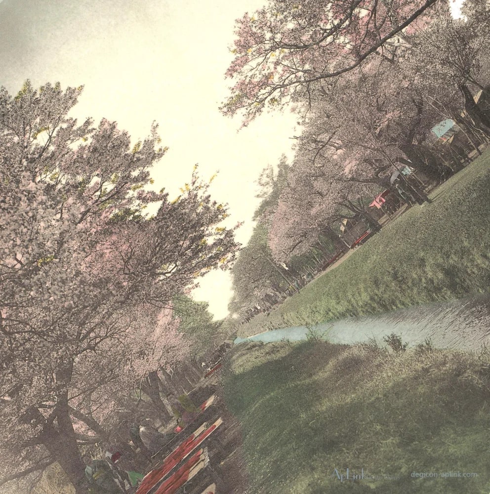 Oevers van een sloot in Koganei, Japan — 日本（幕末・明治）の手彩色写真