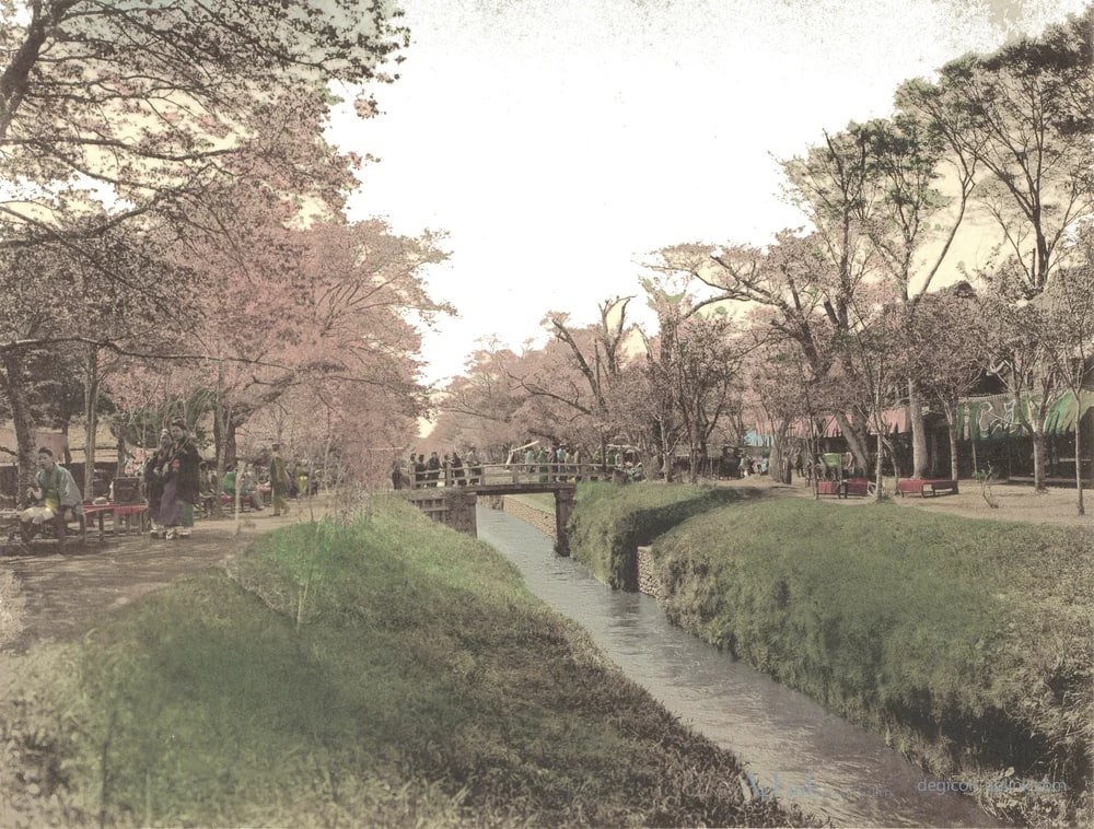 Oevers van een sloot in Koganei, Japan — 日本（幕末・明治）の手彩色写真