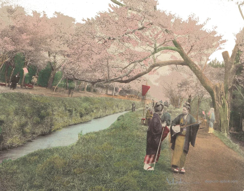 Japanse sierkers naast een weg in Koganei, Japan — 日本（幕末・明治）の手彩色写真