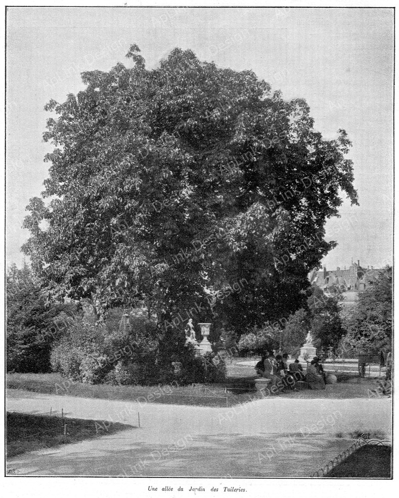 Clément Maurice Paris en plein air, BUC, 1897,048 Une allée du Jardin des Tuileries.jpg — パリの古写真